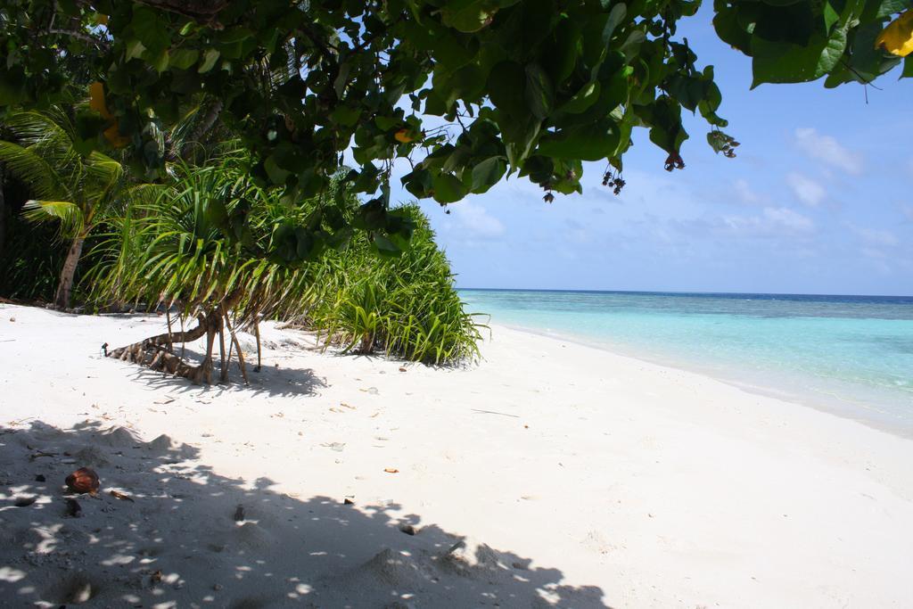 Thinadhoo  Plumeria Maldives מראה חיצוני תמונה